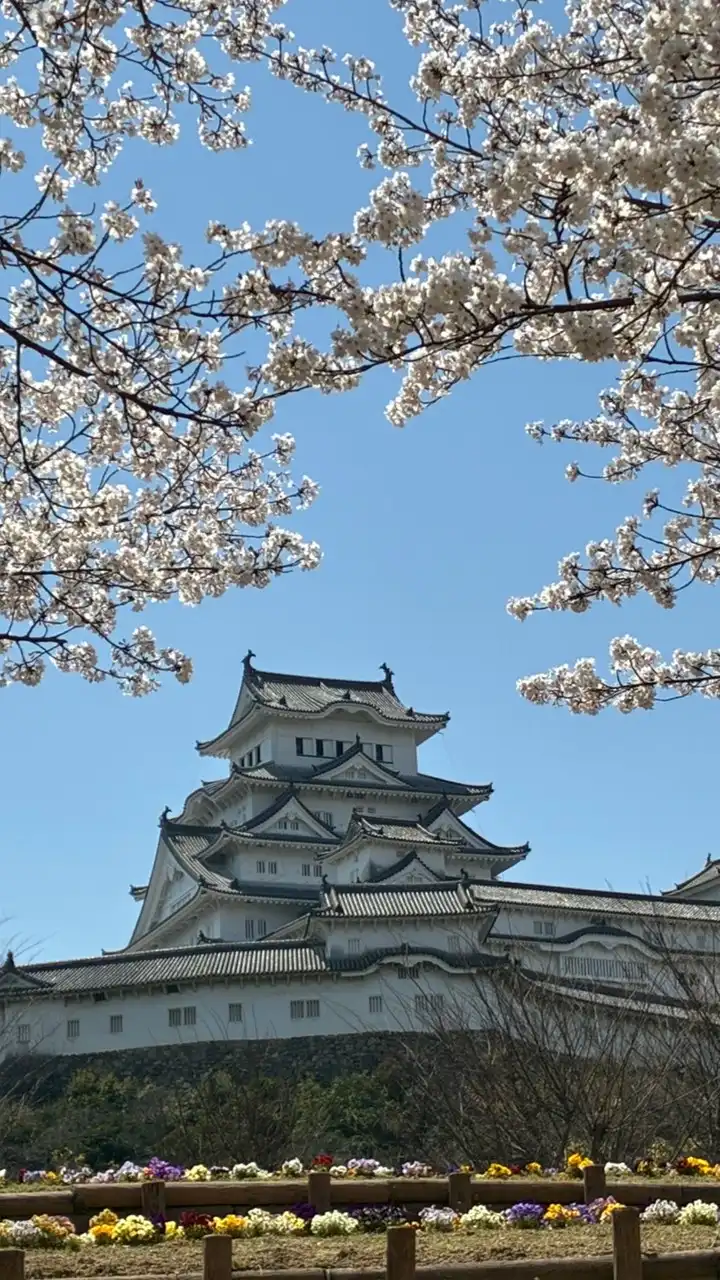 姫路情報雑談チャット