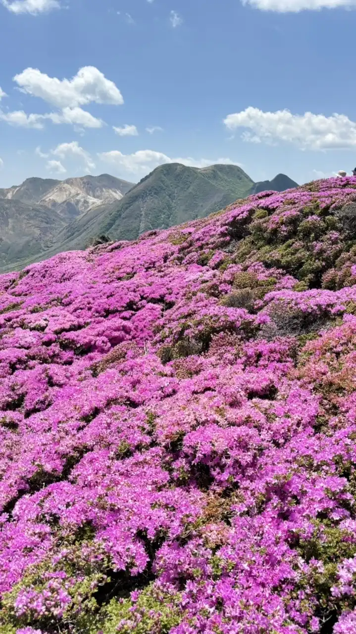 九州の登山仲間募集！