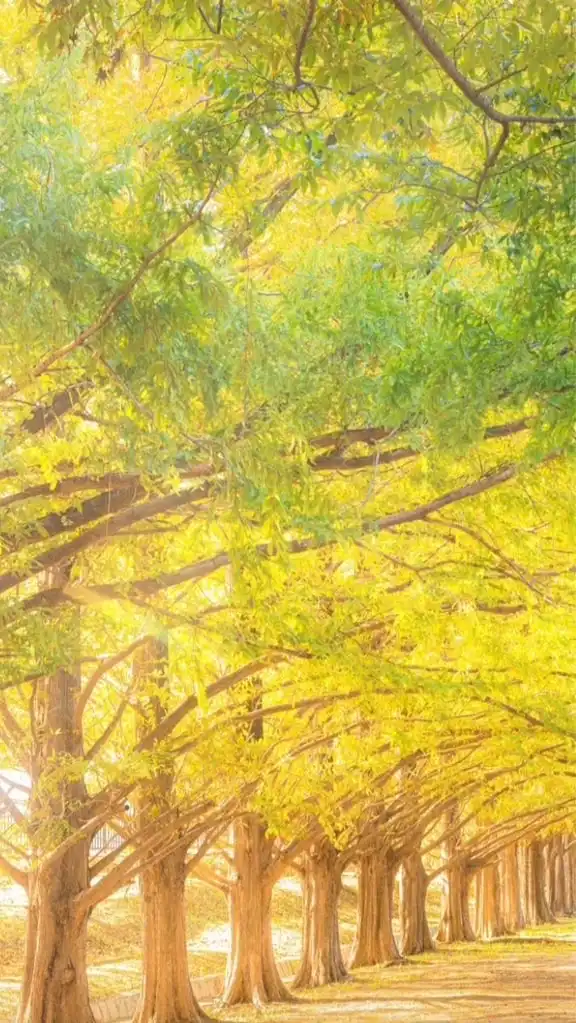 光の森🌳🍃〜迷ったらおいで( ᐛ )و⚐ﾞｶﾓﾝﾇ(未成年不可)