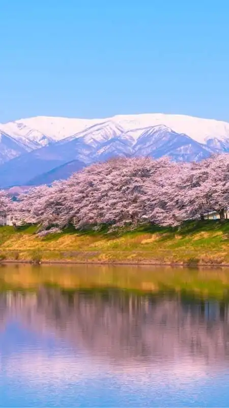 宮城✙仙南地区✙コロナ情報