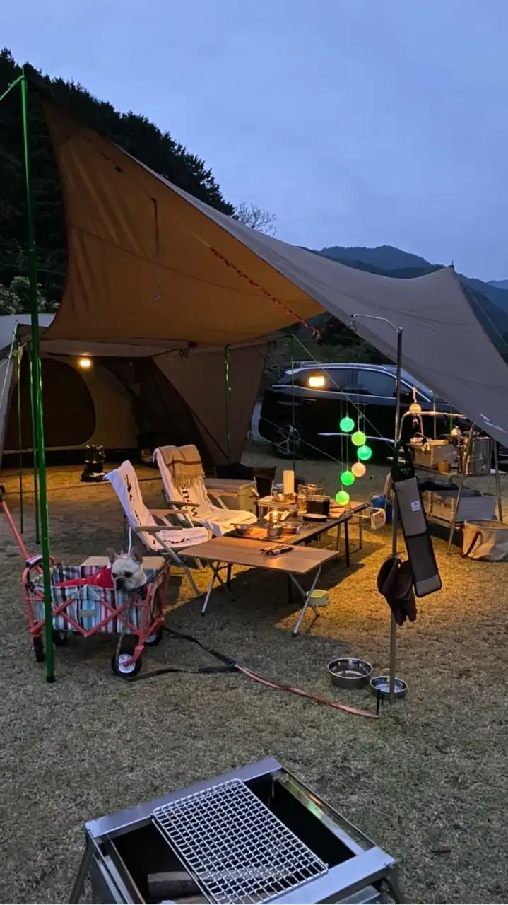 キャンプ場でお会いしましょう⛺️