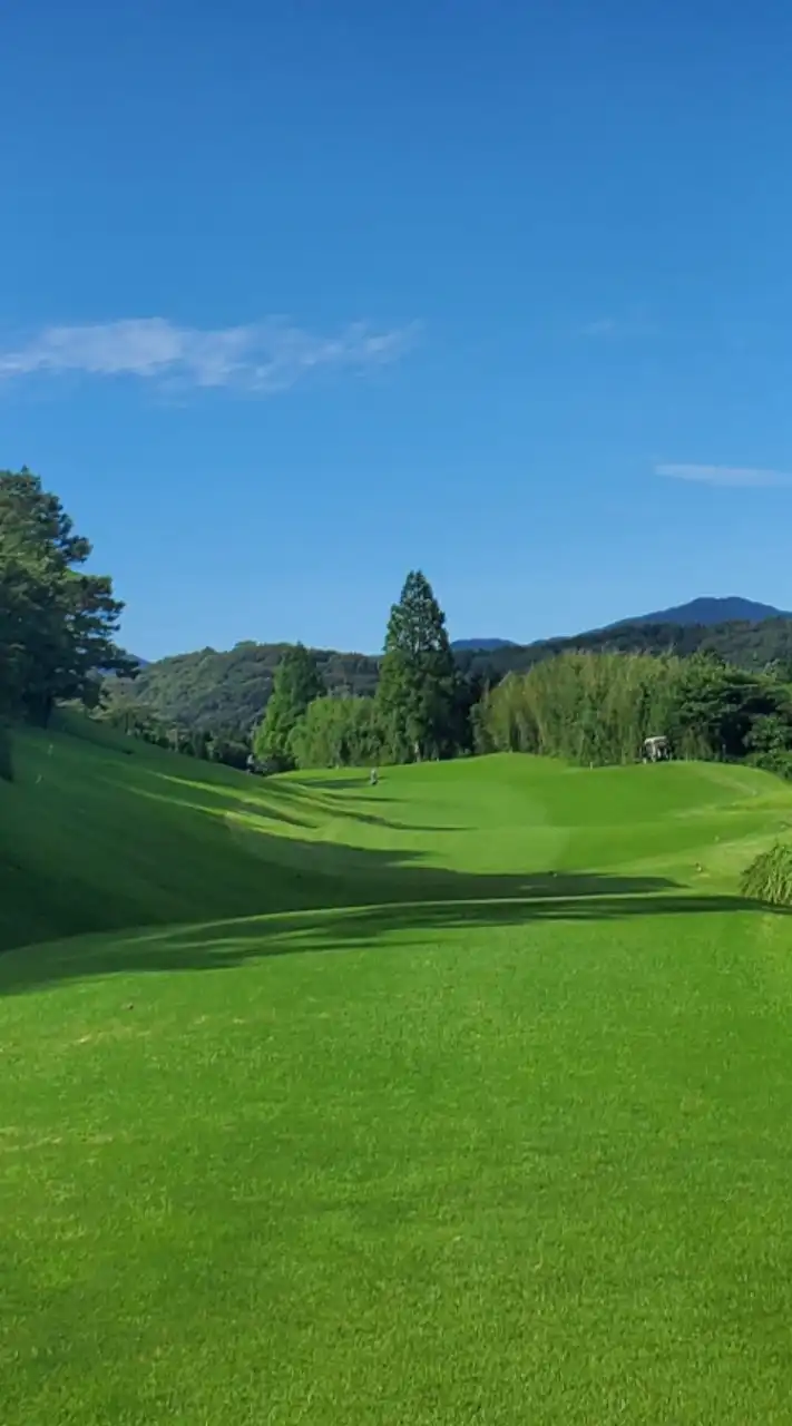 再開早朝ハーフ⛳平日の朝のお散歩や18ホールラウンド未経験者さんもおまかせ✨ゴルフ場に行きましょう😊
