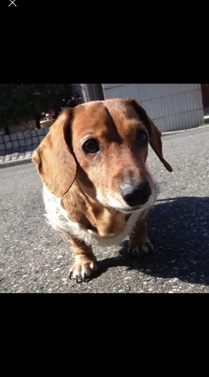 初めてのふるさと納税