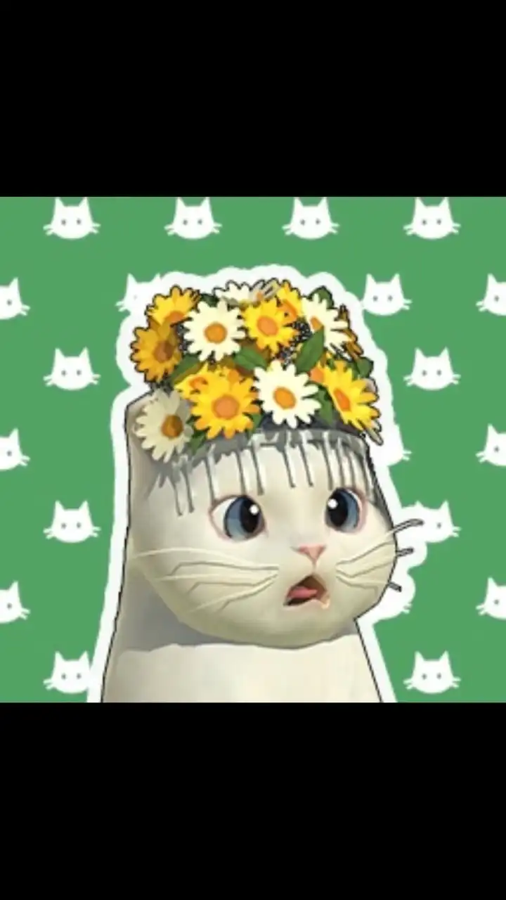 【公式】にゃんこリゾートのつどい
