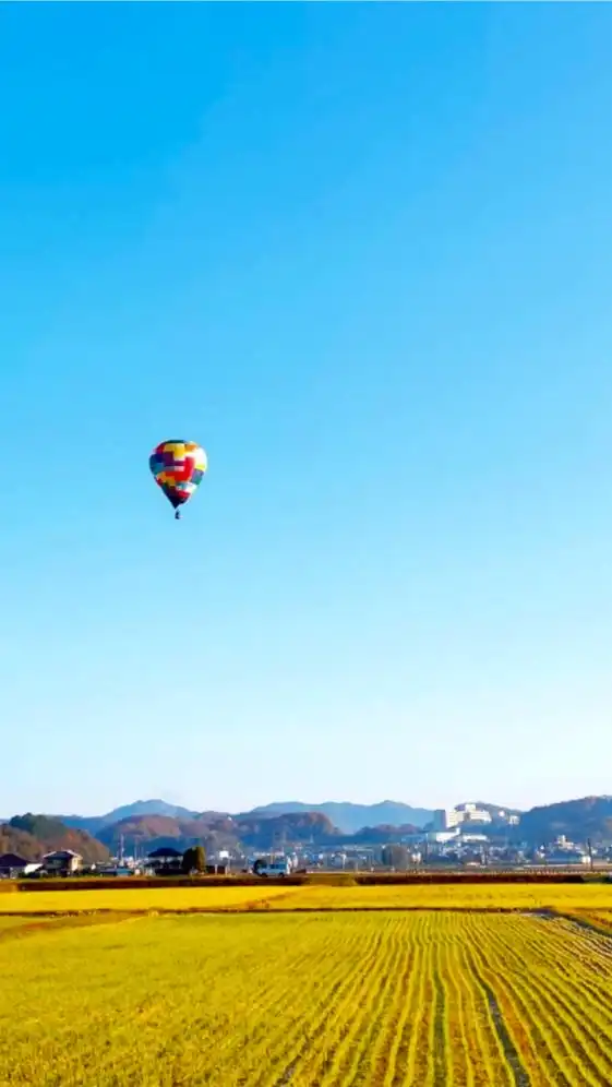 加西イベント情報🎈