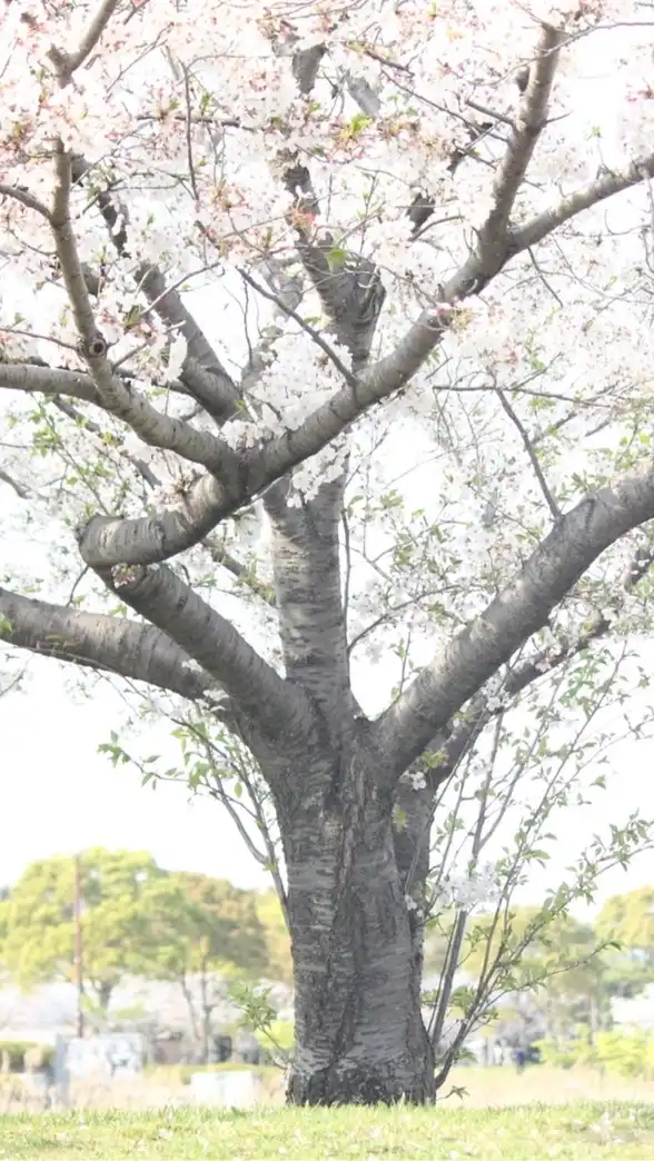 岡崎市で趣味友募集