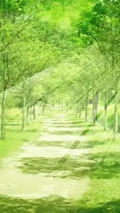 ネット版自助グループ
