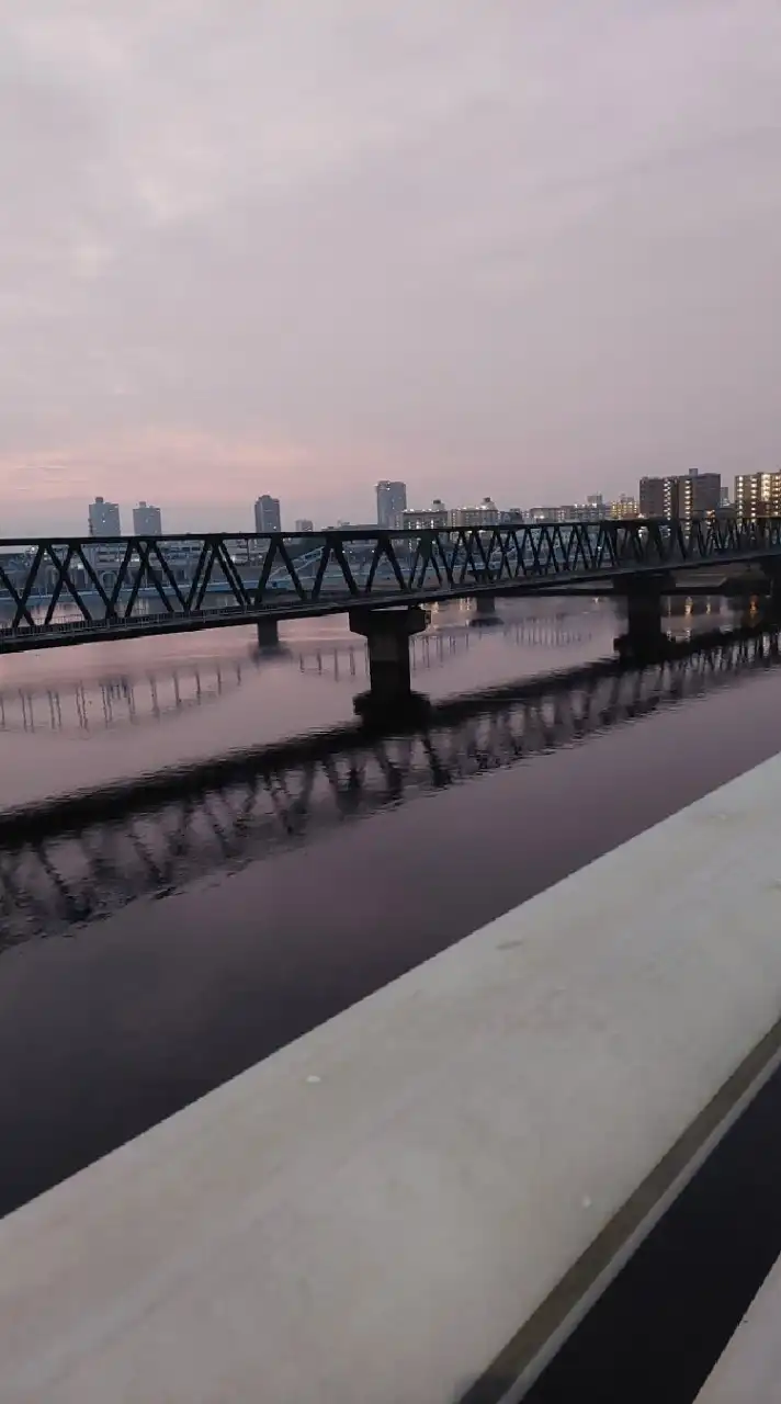 大阪を走ろう🌟自転車専用🌟情報交換