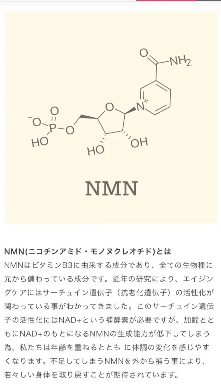 全てのNMNサプリ体験談雑談💖