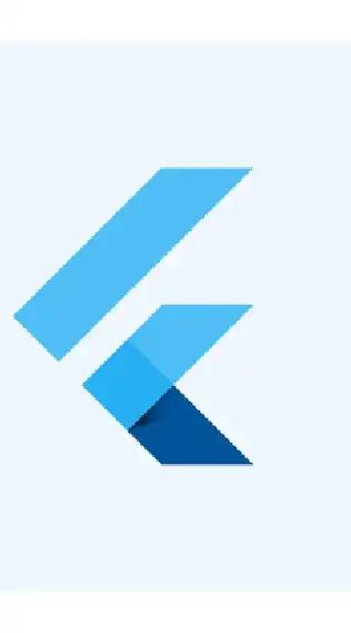 FlutterDeveloper