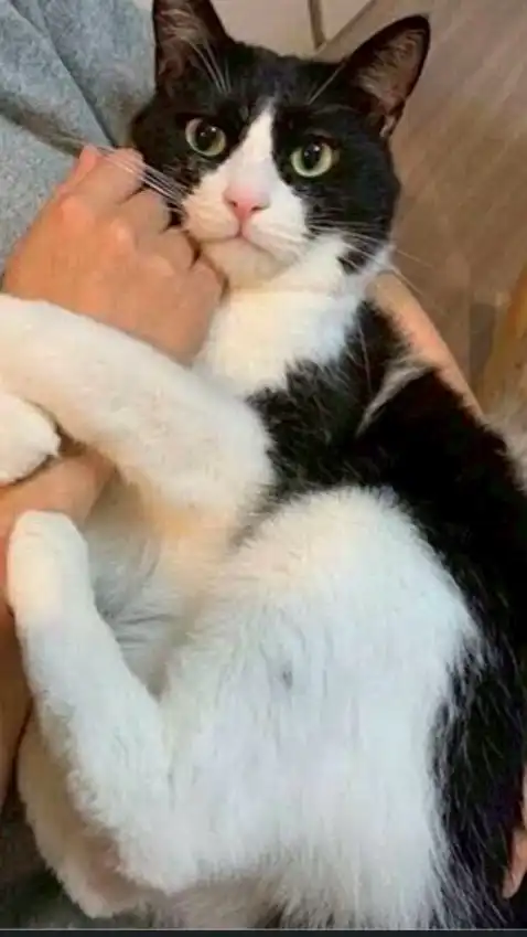 理系生物おたくの部屋