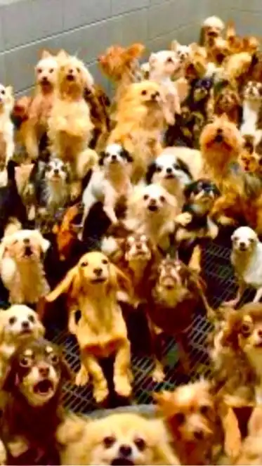 理系生物おたくの部屋