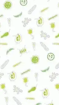 理系生物おたくの部屋