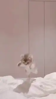 医者、看護師になりたい人に勉強を教えるお部屋！医師や看護師の人も入ってください！お願いします！