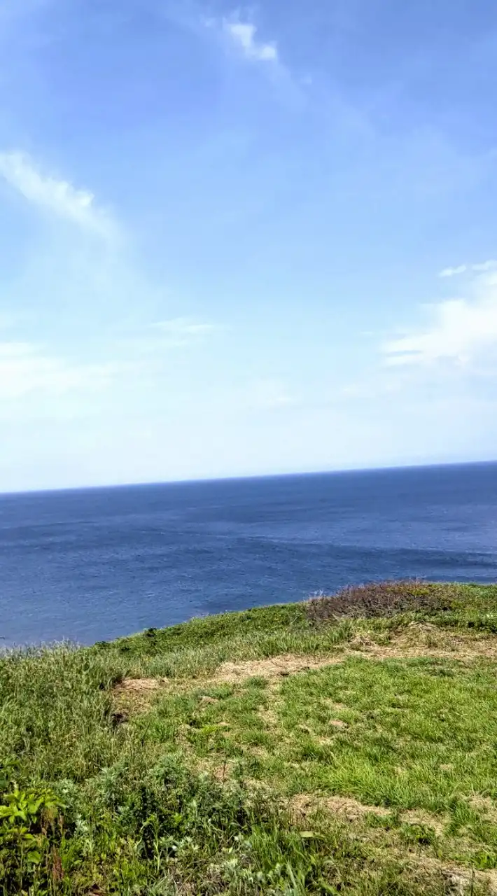 選挙に行こう!! 政治の話し、してみる会。お勧め報道番組を観ながら意見交換、情報交換しましょうの部屋