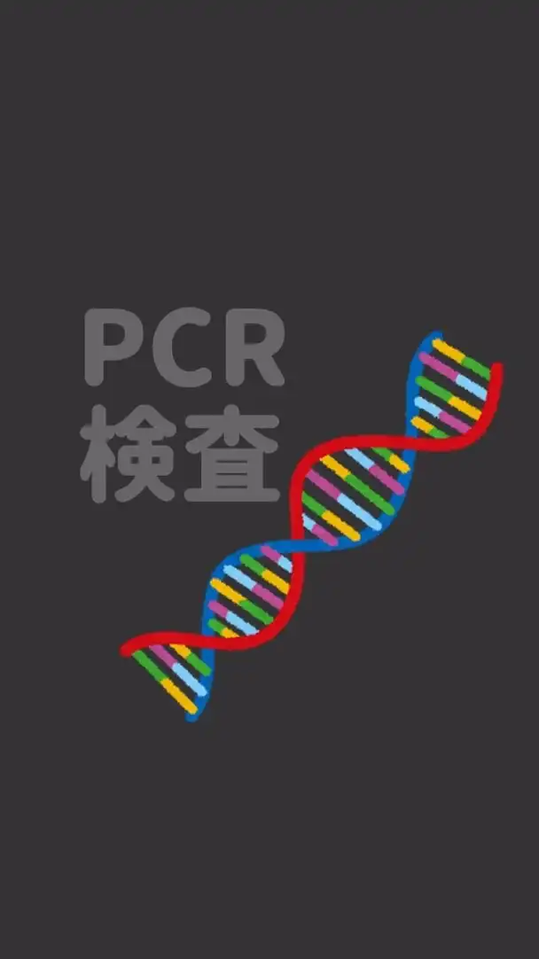 PCR検査について