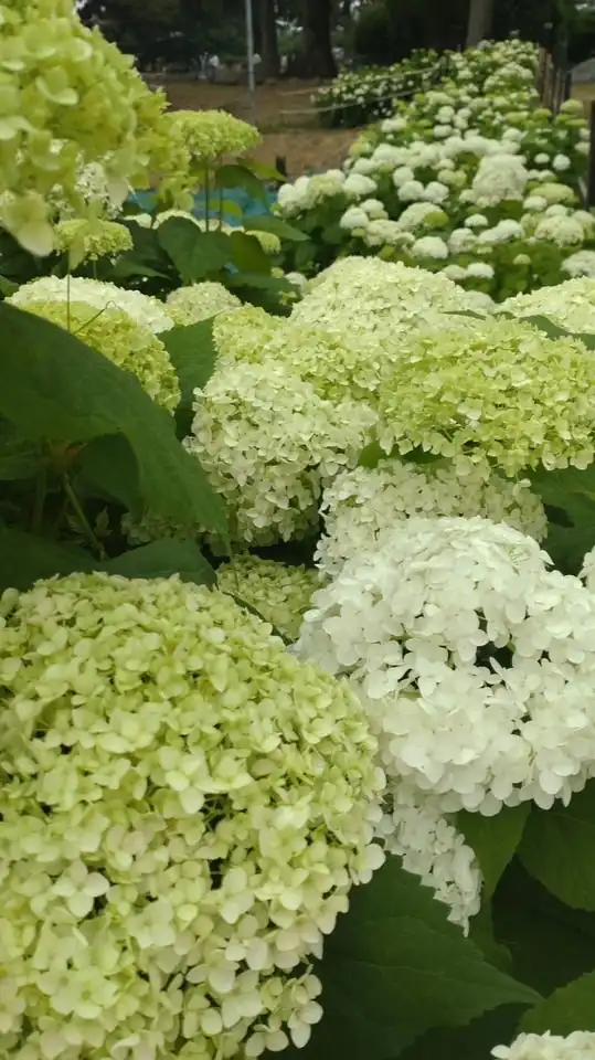 🌸介護で働く人達の部屋🌼