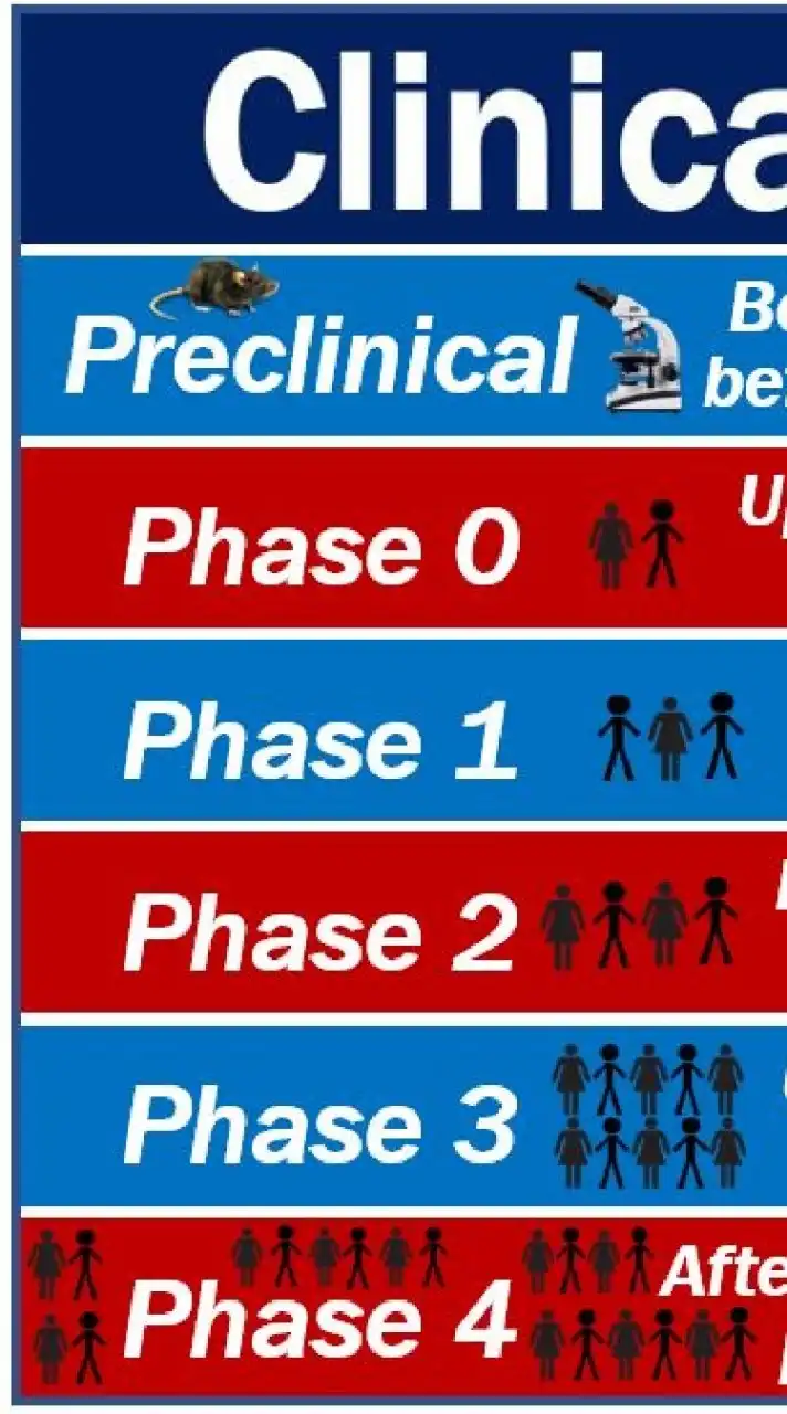 【24卒】製薬業界　臨床開発、PV、学術MR志望者用