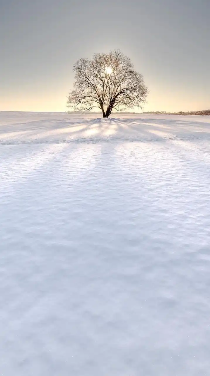 障害を持ちながら働く『未来』