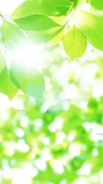 双極性障害・鬱病もち教員のための雑談部屋