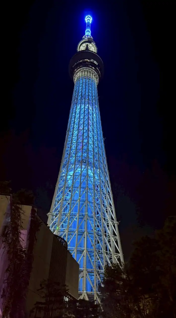 夜勤軍団！！(夜行性強者)
