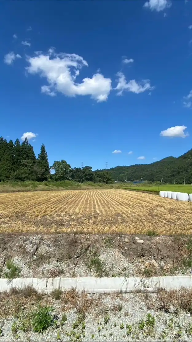 【水田活用】農業再生協議会【ゲタ・ナラシ】