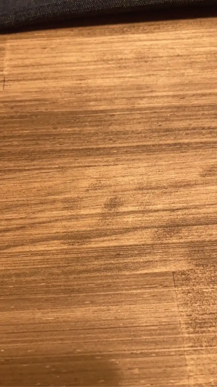 発達障害わくわくお仕事ランド（仮）