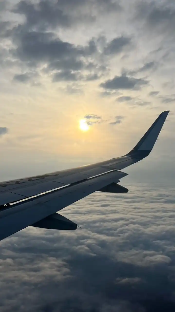 壱岐と東京夢のコラボ