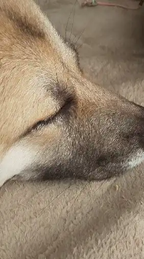 ユースホステル部新歓