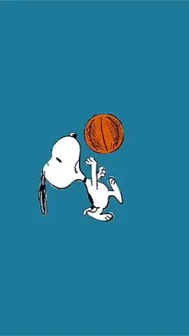 ⛹️‍♂️文理学部バスケットボール研究会⛹️‍♀️新歓用🐢