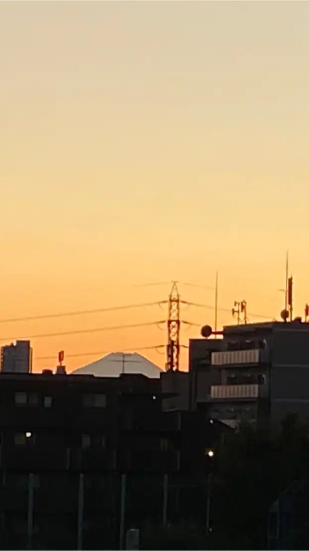 荒木町　ふじ波