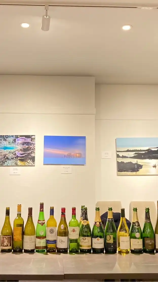 ノムさんのワイン(WINE)会情報ℹ️🍷