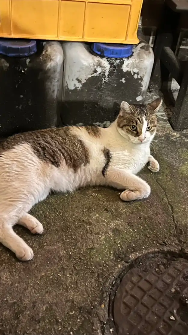 名古屋ジーグループ