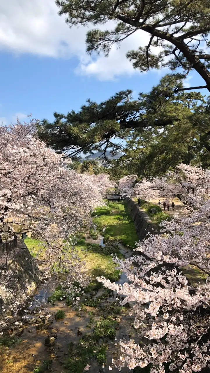 苦楽園/夙川/芦屋グルメ&ライフ