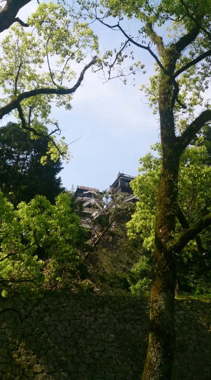 平なごみ
