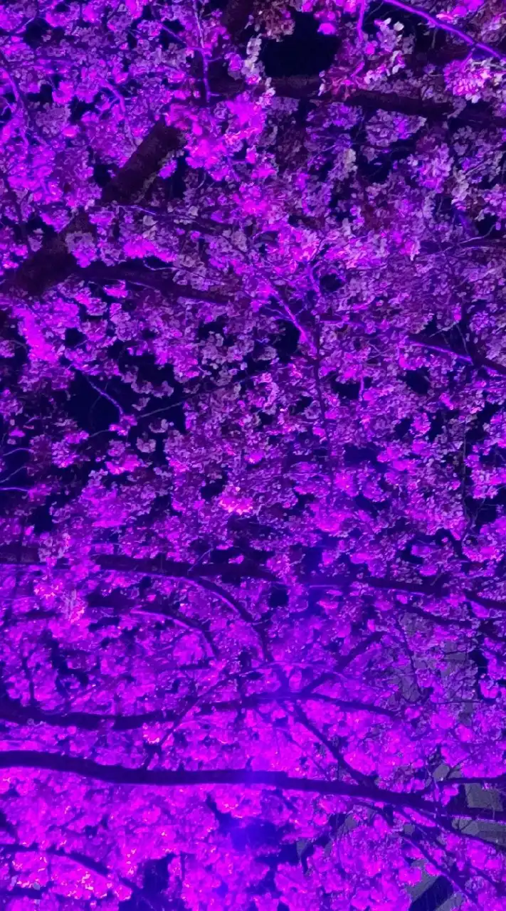 후쿠오카 福岡