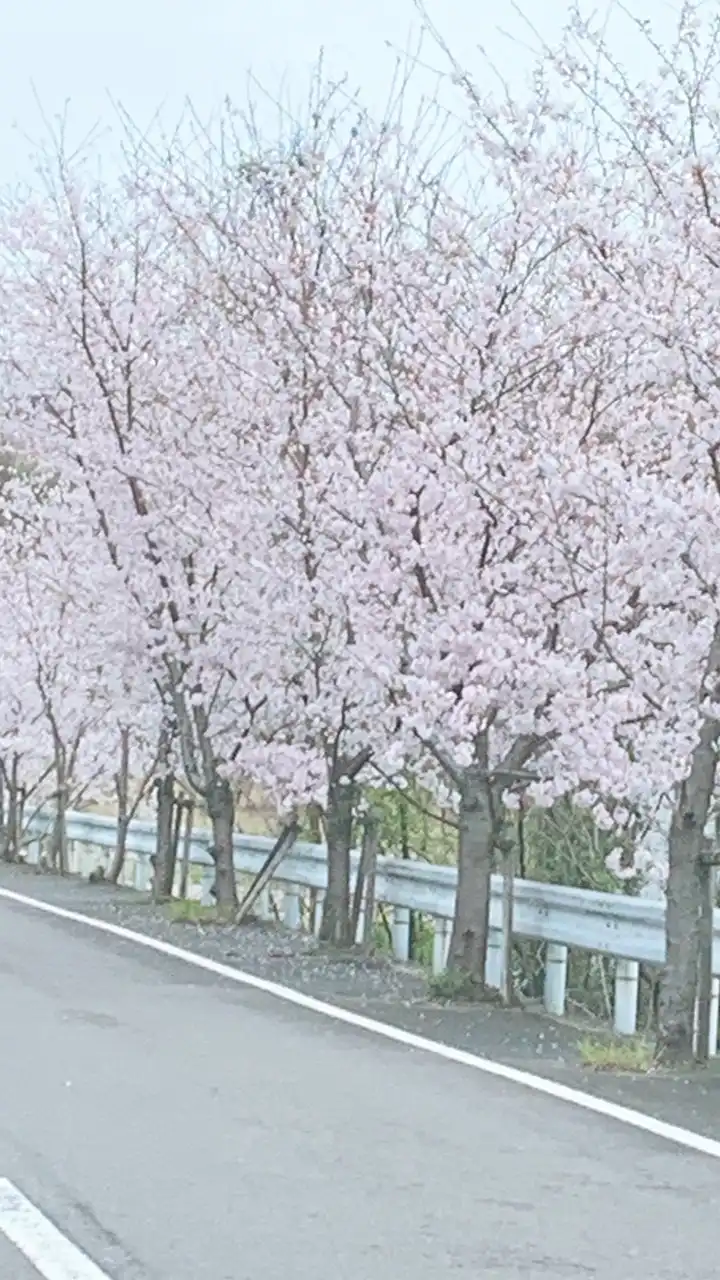 癌患者の集い