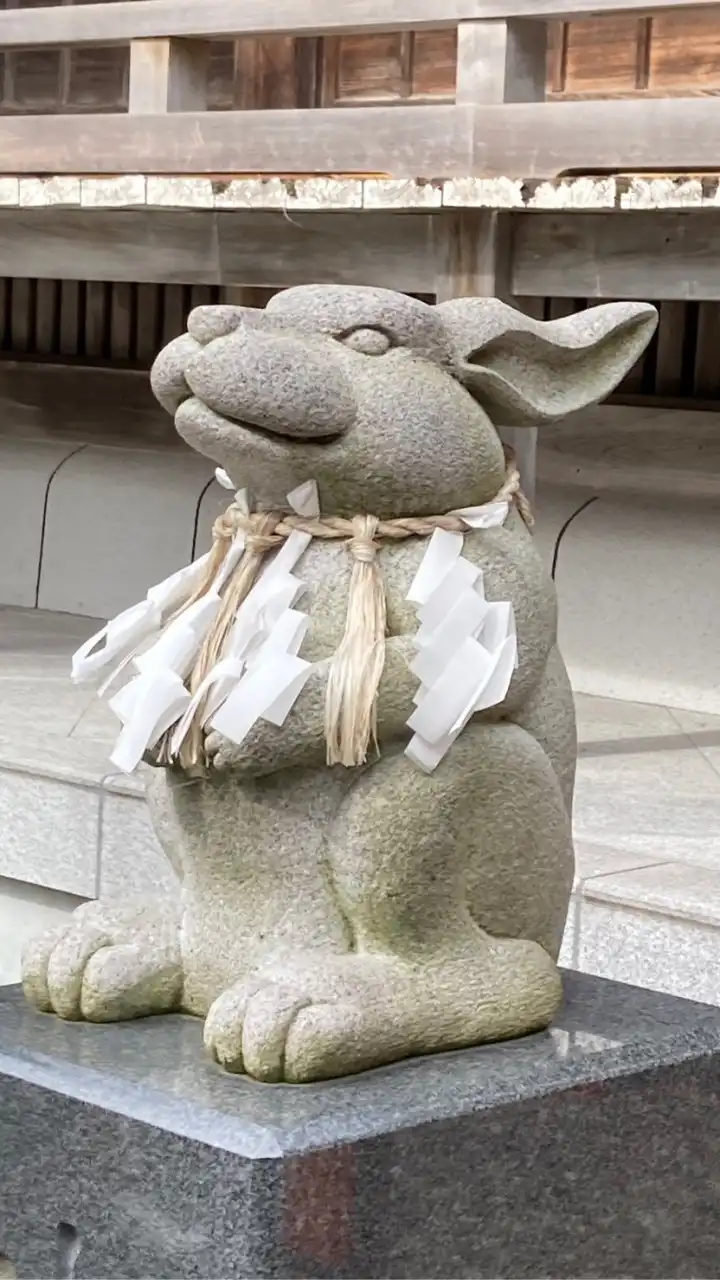 Type 1（1型糖尿病）Hokkaido