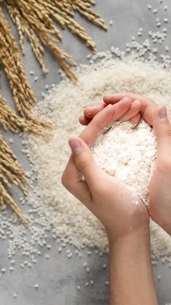 米粉を楽しむ12ヶ月