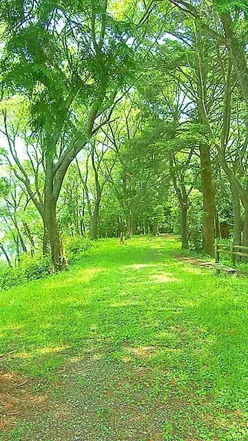 パニック障害の方とお話したいです。