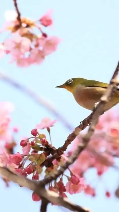 HSPさん専用の部屋໒꒱· ﾟ