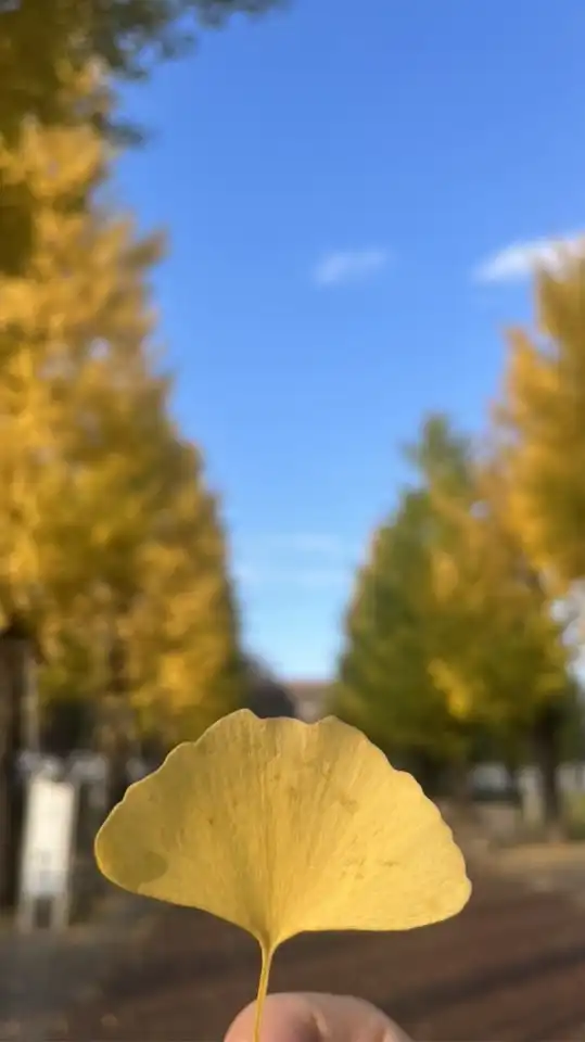 四十肩、五十肩悩む人汗