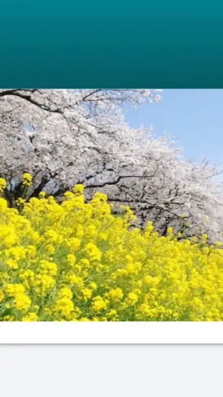 とよかわ福祉医療についてまなぶ会