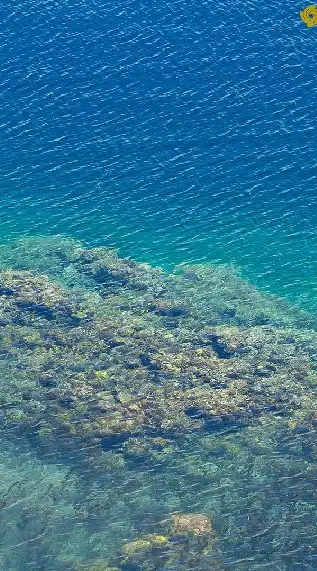 HSP の人の雑談場所🐣(10人制)