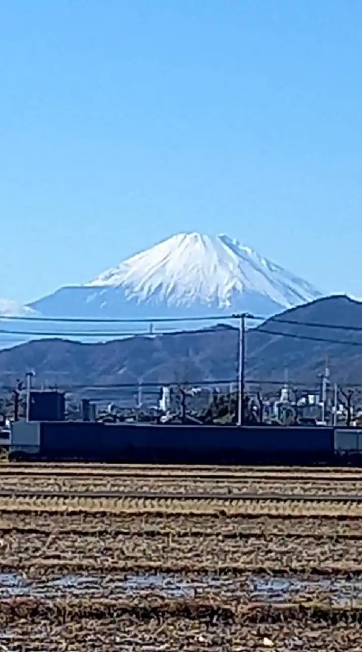 多発性硬化症アップデート