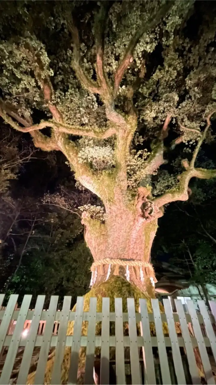 岐阜オークション会場