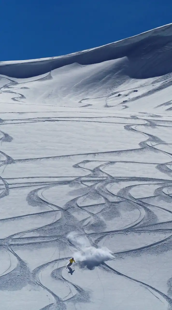 WhiteCrew Freeride SC