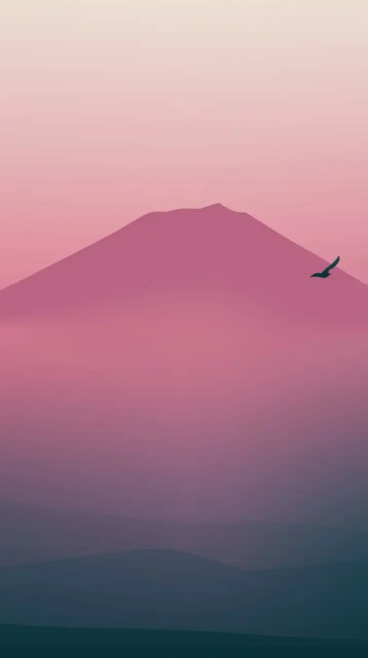 日本バハイ共同体　 Japan Baha'i Community