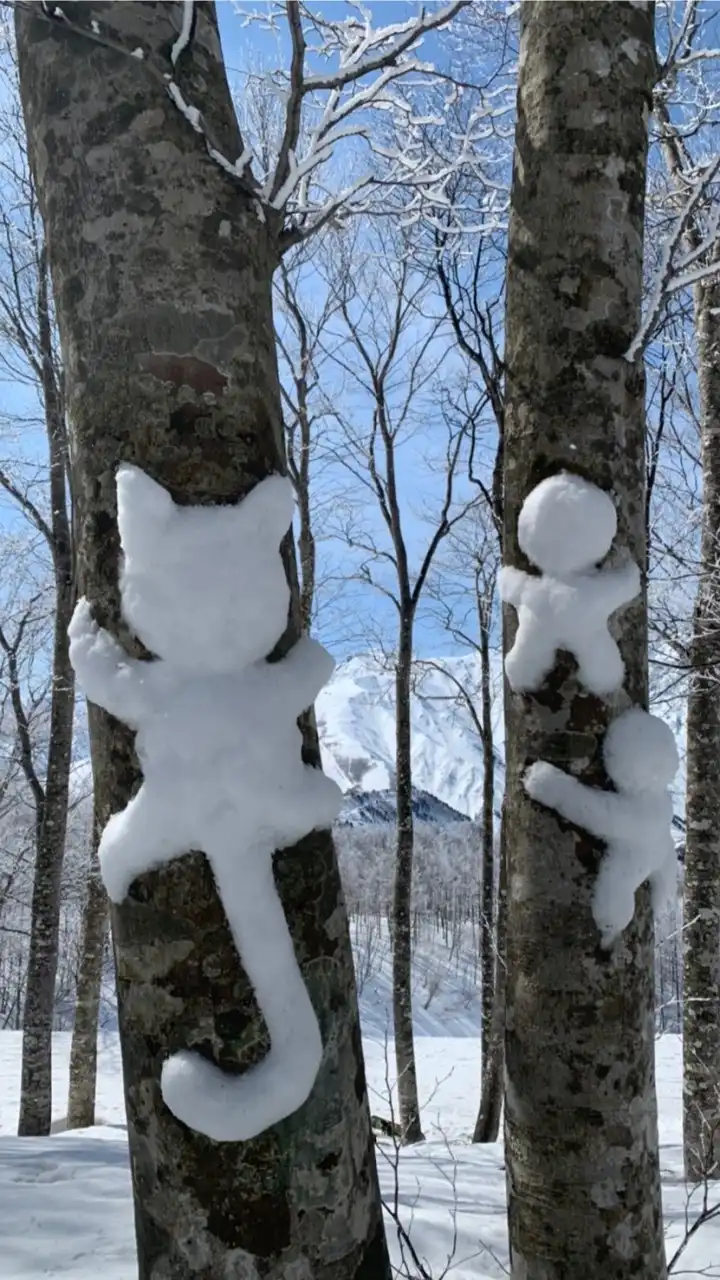 北アルプス　登山好き