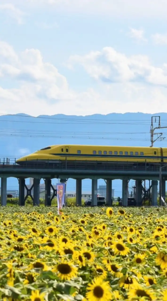 真の鉄道好き